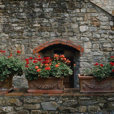 Il Cascino Pension Greve in Chianti Buitenkant foto