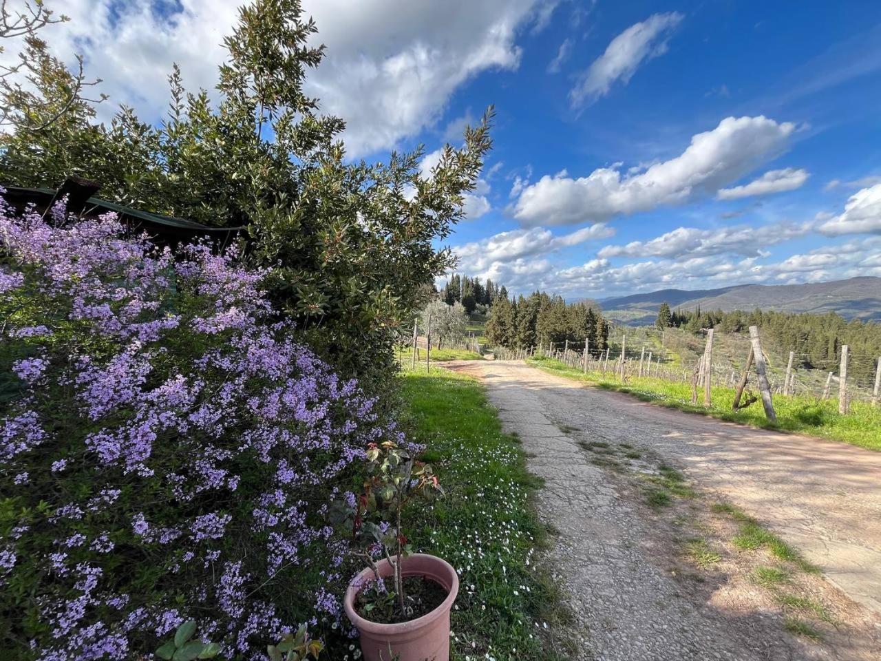 Il Cascino Pension Greve in Chianti Buitenkant foto