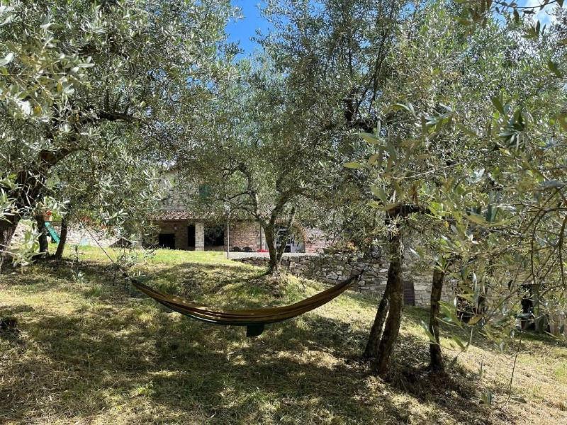 Il Cascino Pension Greve in Chianti Buitenkant foto